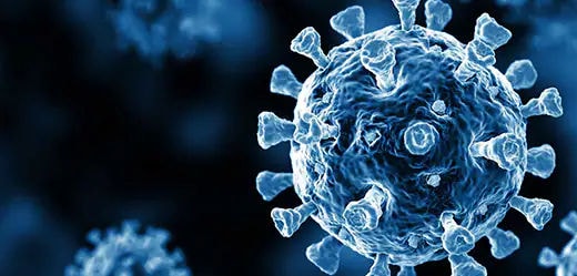 Advancing Your SARS-CoV-2 Research