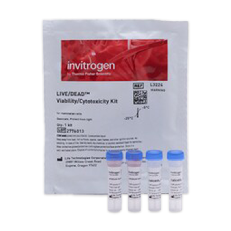 Invitrogen™ LIVE/DEAD™ Viability/Cytotoxicity Kit für Säugetierzellen