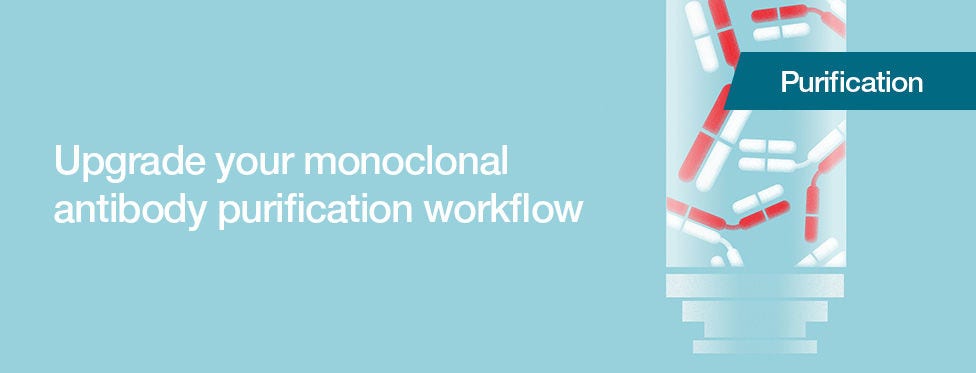 Protein A Chromatography Resins