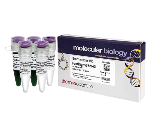 25350_Merch_P2_Product1