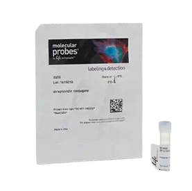 25351_Merch_P1_Product