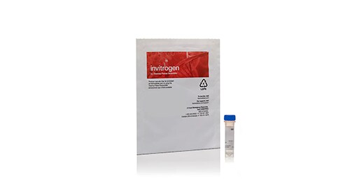 Neuroscience Reagents and Kits