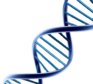 25350_Merch_P1_Product