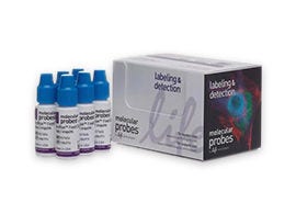 Reagenzien und Kits zur Zellstruktur