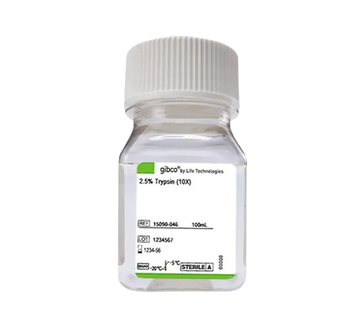 24983_Merch_P2_Product1