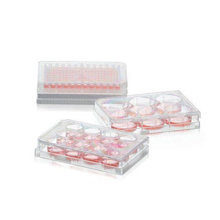 Thermo Scientific™ 96-Well-Platte, Sphera Low-Attachment Oberfläche