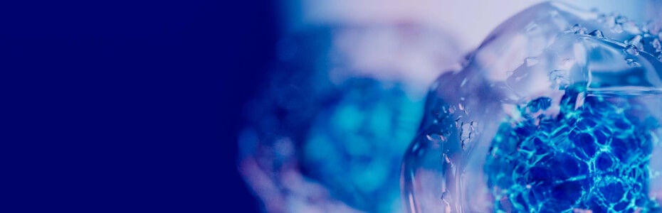 Cell Analysis Methods