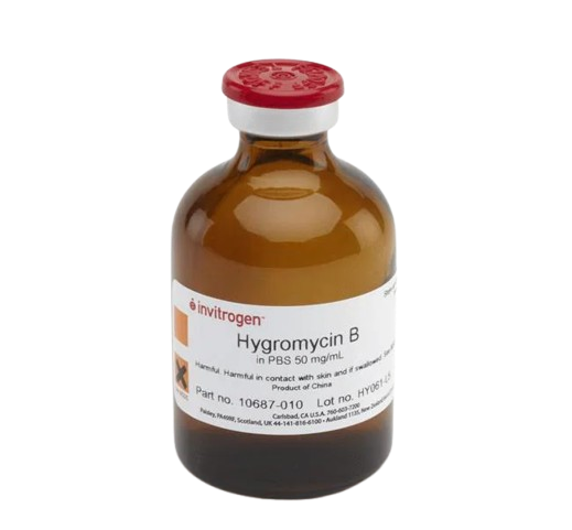 25069_Merch_P2_Product1