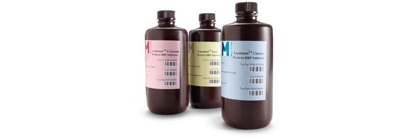 Merck Millipore Luminata™ Western HRP Chemiluminescence Substrates