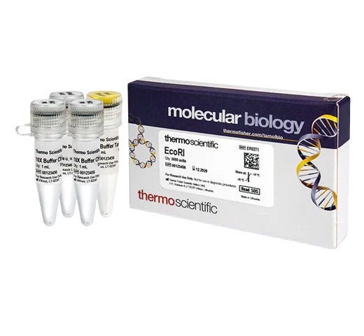 25350_Merch_P2_Product2