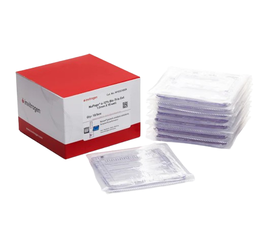 25341_Merch_P2_Product1