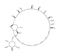 25069_Merch_P1_Product