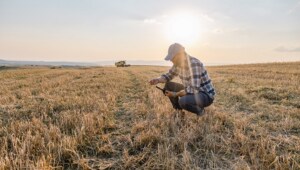 Application Header - Environmental