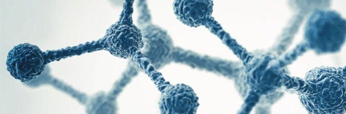 Sollten Sie digitale oder Echtzeit-PCR verwenden?