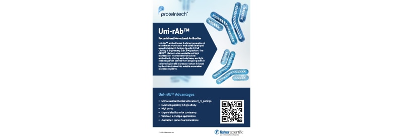 Uni-rAb™ Recombinant Monoclonal Antibodies