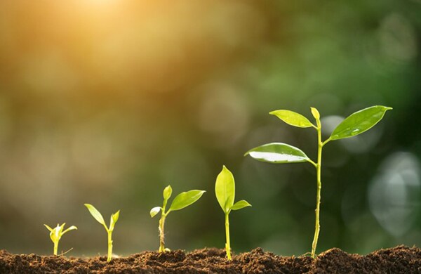 Environmental Monitoring