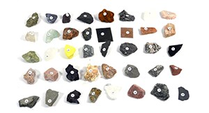 Specimen Sets and Activity Kit