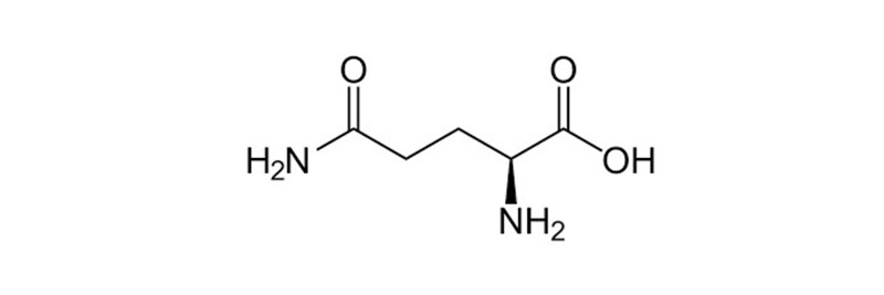 Amino Acids