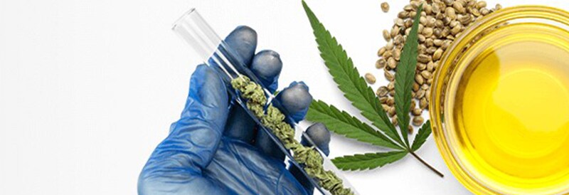 Cannabis Science and Services