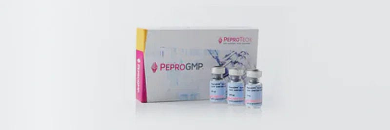 Rekombinante Proteine
