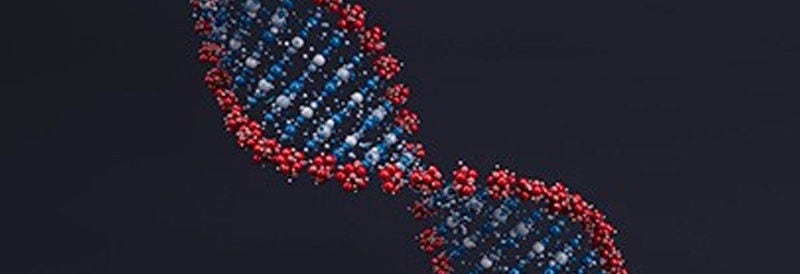 The Human Body is Mostly Bacteria: 10 Times More Bacterial Cells than Human Cells Found on Average