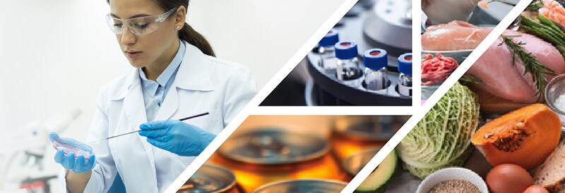 Food and Beverage Testing Methods