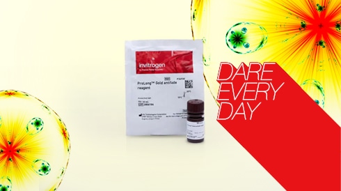 Get 19% off Invitrogen ProLong Gold Antifade Mountant for fluorescent dye optimization. Save now