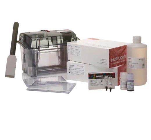 25341_Merch_P2_Product3