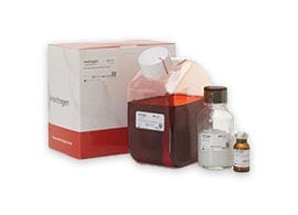 Allgemeine zellbasierte Assays