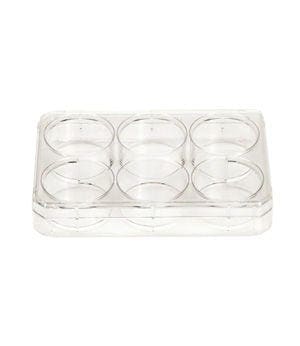 Thermo Scientific™ Nunc™ Zellkultur-behandelte Multidishes