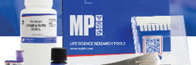 Western Blotting Products