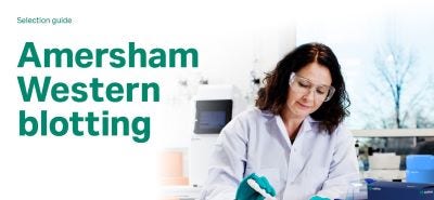 25341_Merch_P8_Doct1