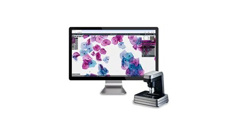 Discover a New Standard in Digital Pathology