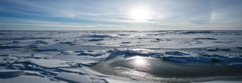 The Antarctic Ice Sheet: A Giant Frozen Reservoir with Global Implications