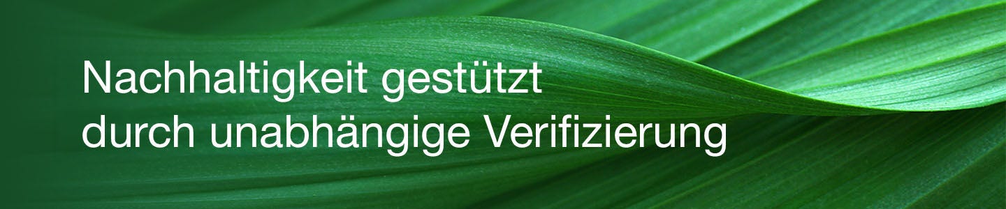 Greener Choice Banner