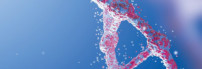 Tools to Design, Transfect, and Detect