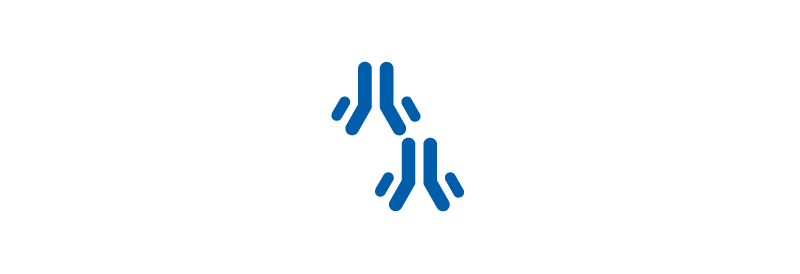 Immunpräzipitation (IP) / Chromatin-Immunpräzipitation (ChIP)
