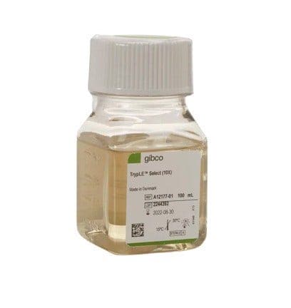 24983_Merch_P2_Product2