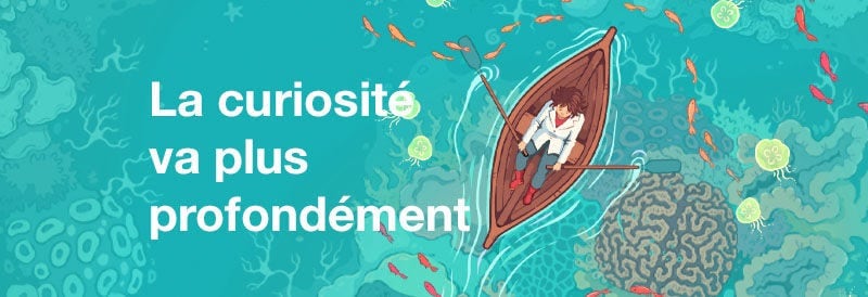 La curiosité va plus profondément