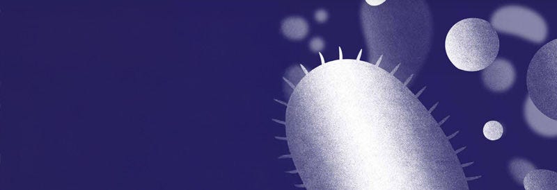 SteriSEQ Rapid Sterility Testing System Brochure