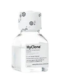 25069_Merch_P2_Product2