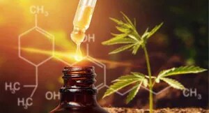 Cannabis plant and droplet