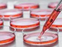 22688 - Partnerships-image4