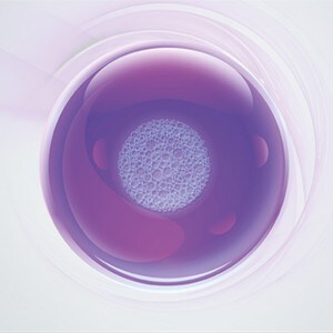 cellculture-basics cellculture-basics