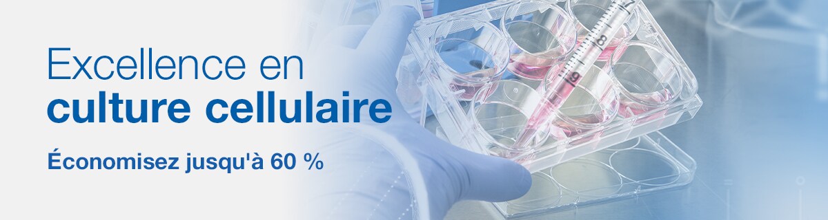 Cell Culture Cell Culture