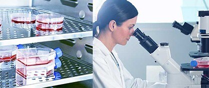 Les nombreux domaines dans lesquels les chambres &agrave; CO2 montrent leurs atouts