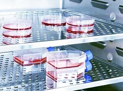 CO2 Chambers CO2 Chambers