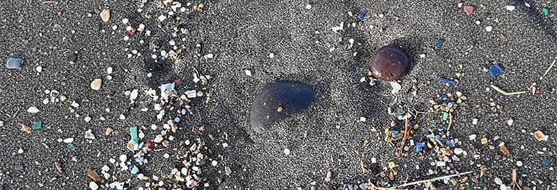 Mikroplastik: Risiken erkennen und Hinweise verstehen