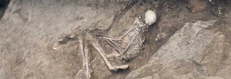 Antivirale Proteine unserer Vorfahren als möglicher Infektionsschutz