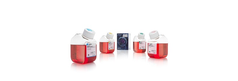 Gibco™ BenchStable™ Zellkulturmedien: Umweltbewusstes Handeln durch Reduzierung des Kühlraumbedarfs im Labor